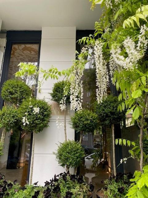 Ab Residences -Cihangir Luxury Antique Apartment イスタンブール エクステリア 写真